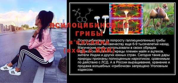 ешки Кодинск